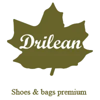 drilean.com.br