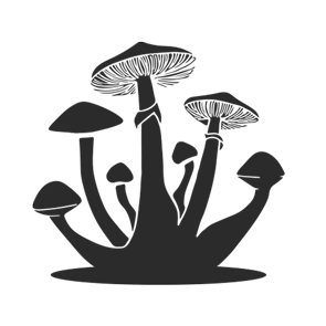 fungicultura.com.br