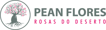 peanflores.com.br
