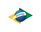 brasilwebhost.com.br